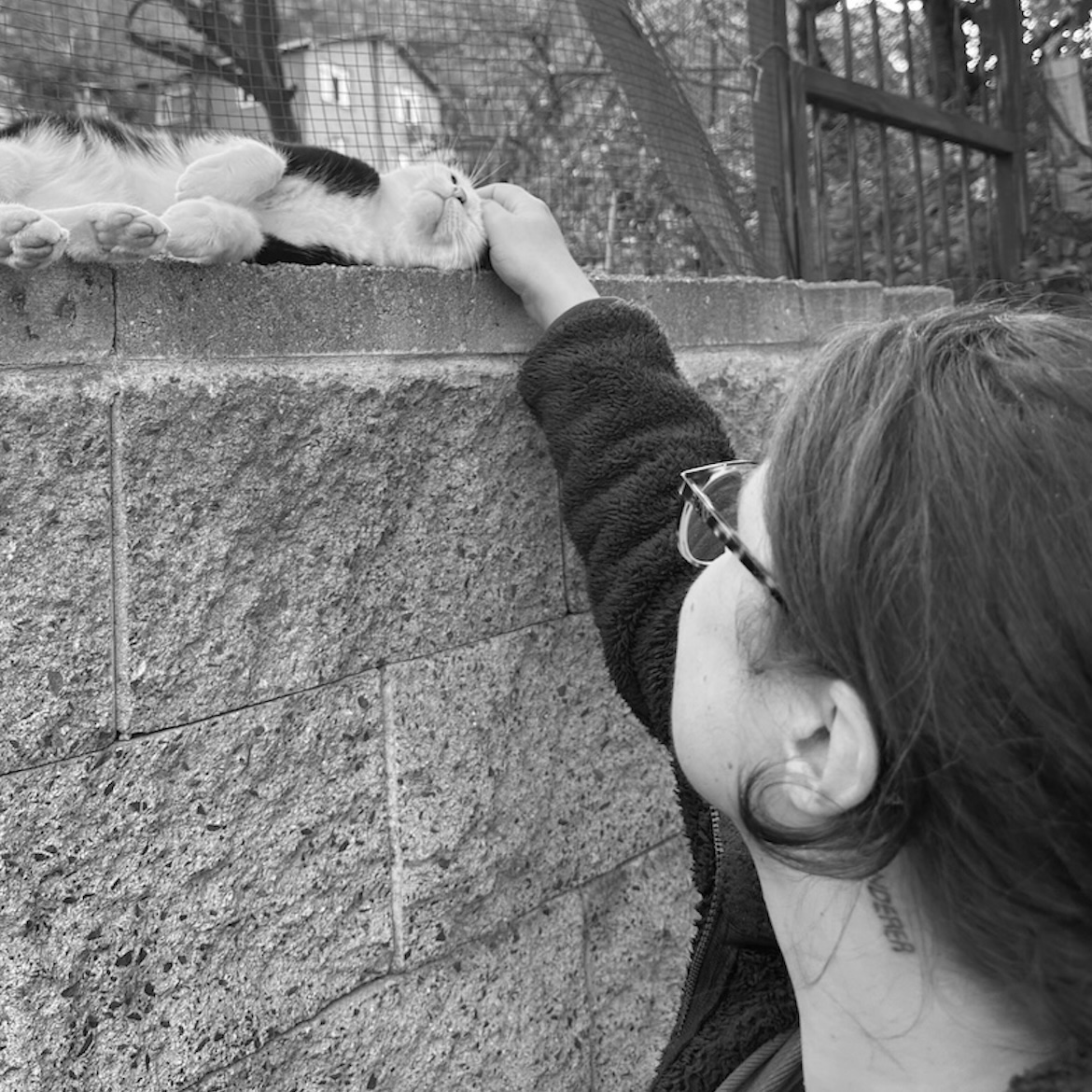 Portrait of Michaela Harcegova